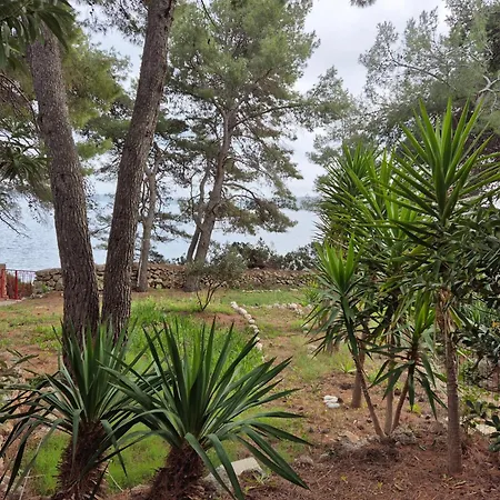 Apartment By The Sea Zavala, Hvar - 8774 Jelsa (Hvar)